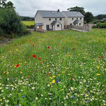 Family Country Cottage With Stunning Mountain Views Myddfai Buitenkant foto