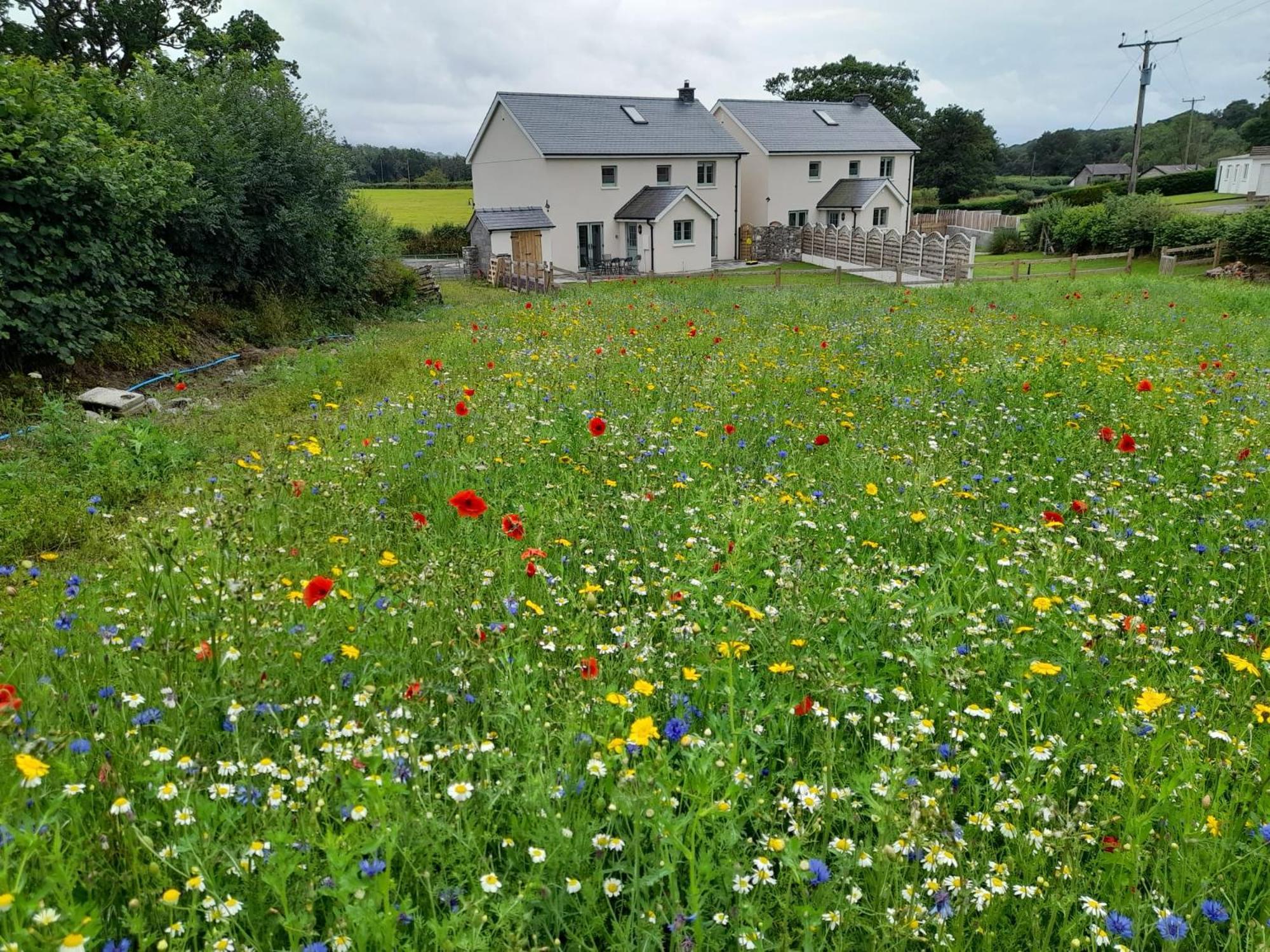 Family Country Cottage With Stunning Mountain Views Myddfai Buitenkant foto